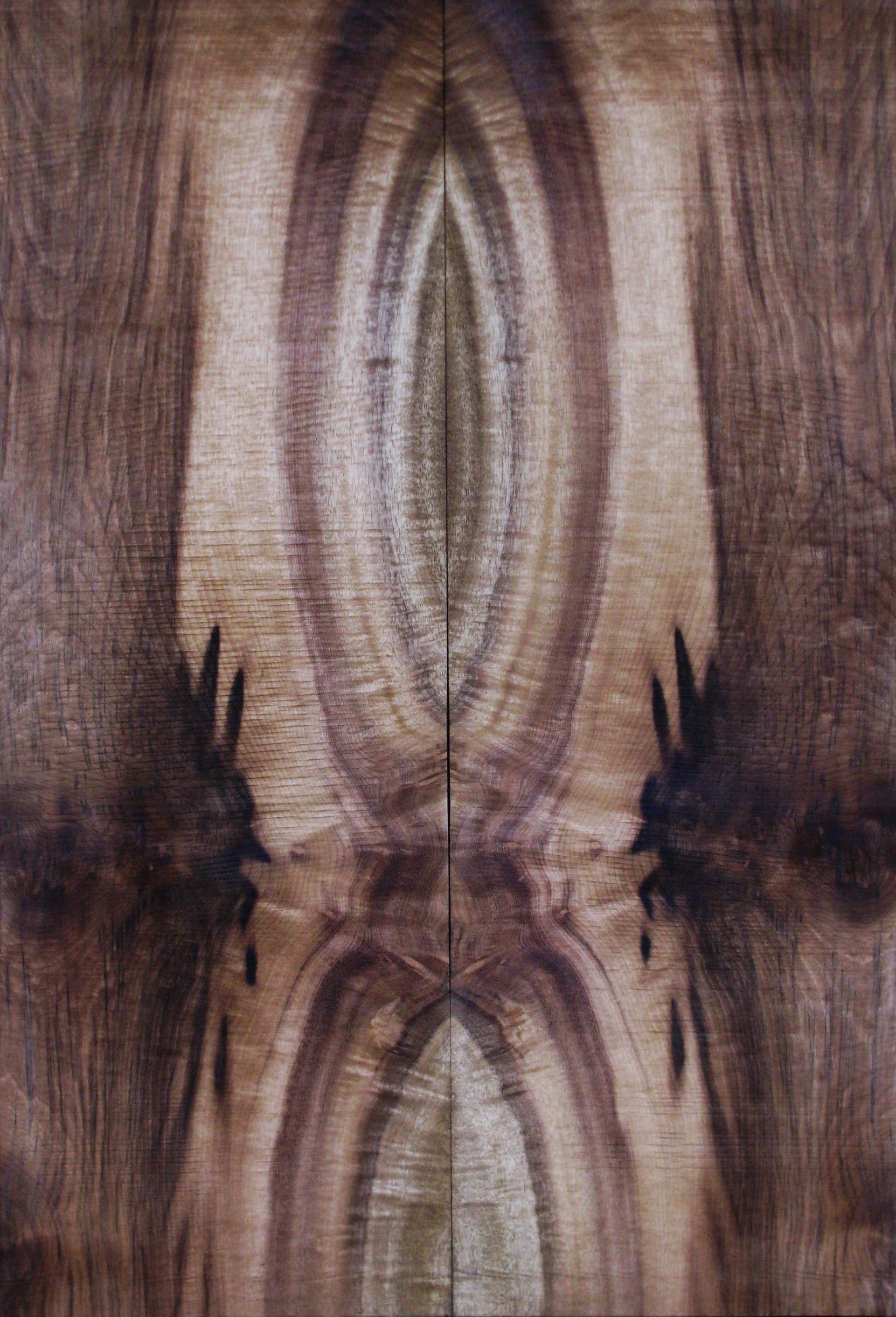 myrtlewood burl 17